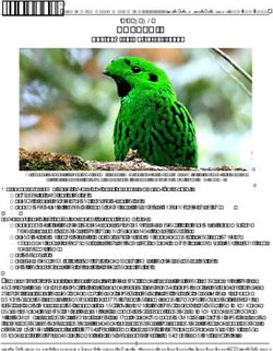 BORNEO ITINERARY - Field Guides