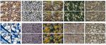 Deep Tiling: Texture Tile Synthesis Using a Deep Learning Approach - arXiv