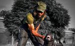 Canine Performance Scientist & Training Director - Sponsored by