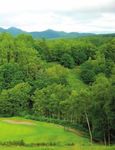 Hokkaido Turns To Golf Tourism