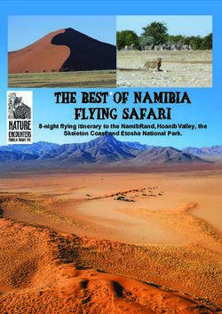 The Best of Namibia Flying Safari - 8-night flying itinerary to the NamibRand, Hoanib Valley, the Skeleton Coast and Etosha National Park ...