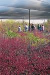 MSU Students Tour California Horticulture and Compete at PLANET Student Career Days