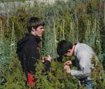 MSU Students Tour California Horticulture and Compete at PLANET Student Career Days