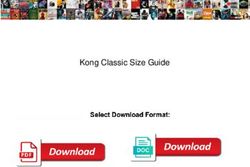 Kong Classic Size Guide - Good Reporters