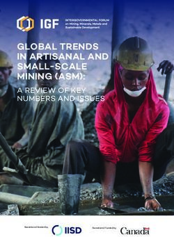 GLOBAL TRENDS IN ARTISANAL AND SMALL-SCALE MINING (ASM): A REVIEW OF KEY NUMBERS AND ISSUES