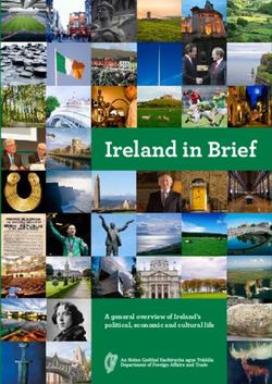 Ireland in Brief A general overview of Ireland's political, economic and cultural life - DFA