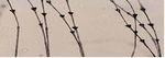 International Birdstrike Committee - Recommended Practices No. 1 Standards For Aerodrome Bird/Wildlife Control
