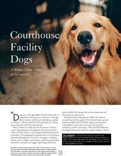 Courthouse Facility Dogs - A Witness's Best Friend - The National Judicial College