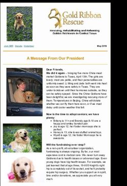 A Message From Our President - Gold Ribbon Rescue