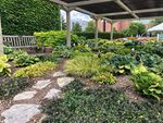 Msu in bloom MSU HORTICULTURE GARDEN NEWS