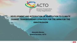 DEVELOPMENT AND INTEGRATION OF ADAPTATION TO CLIMATE CHANGE: TRANSBOUNDARY STRATEGY FOR THE IWRM FOR THE AMAZON BASIN - Alexandra Moreira General ...