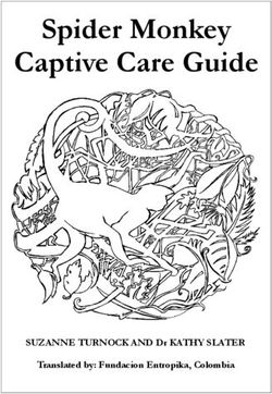 Spider Monkey Captive Care Guide - SUZANNE TURNOCK AND Dr KATHY SLATER Translated by: Fundacion Entropika, Colombia