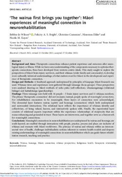 The wairua first brings you together': Māori experiences of meaningful connection in neurorehabilitation