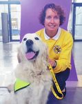 Wagging Tails - Irish Therapy Dogs