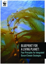 BLUEPRINT FOR A LIVING PLANET: Four Principles for Integrated Ocean-Climate ...