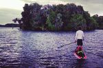 THEKINGFISHER KEEPING WATCH OVER OUR RIVER - St. Johns Riverkeeper