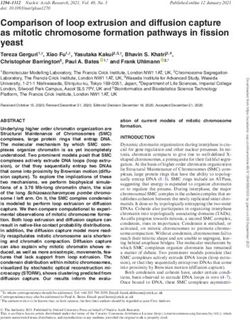 Comparison of loop extrusion and diffusion capture as mitotic chromosome formation pathways in fission yeast