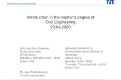 Introduction in the master's degree of Civil Engineering 20.04.2020 - TUM