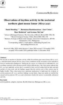Observations of daytime activity in the nocturnal northern giant mouse lemur (Mirza zaza) - Brill