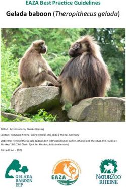 Gelada baboon (Theropithecus gelada) - EAZA Best Practice Guidelines