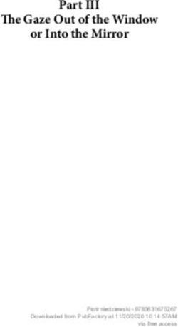 The Gaze Out of the Window or Into the Mirror - Peter Lang Publishing