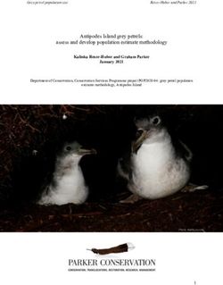 Antipodes Island grey petrels: assess and develop population estimate methodology - DOC