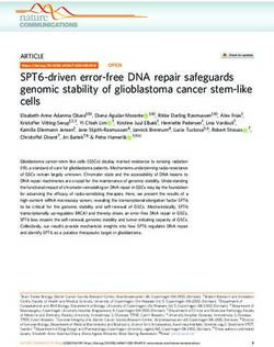 SPT6-driven error-free DNA repair safeguards genomic stability of glioblastoma cancer stem-like cells - Nature