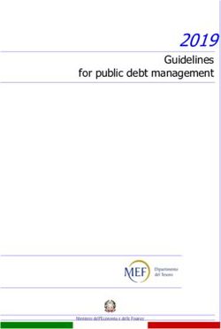 2019 Guidelines for public debt management