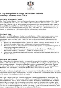 A Dog Management Strategy for Burnham Beeches. Achieving a balance for all site visitors. Section 1. Statement of intent - the City of London ...