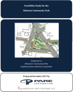 Implementation Advisory Committee - Feasibility Study for the Belmont Community Path - Town of ...