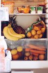 Getting Started on the Plant-Based Diet