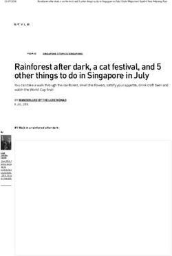 Rainforest after dark, a cat festival, and 5 other things to do in Singapore in July
