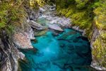 New Zealand's South Island - Food and wine tour a - Blue Dot Travel