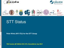 STT Status Peter Wintz (IKP, FZJ) for the STT Group - TRK Session @ PANDA CM 17/3, Novosibirsk, Sep 2017 - GSI Indico