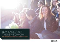 NEW SKILLS FOR THE NEW ECONOMY - THE LEEDS TALENT AND SKILLS PLAN 2017-2023 - Leeds City Council