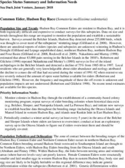 Species Status Summary and Information Needs - Sea Duck Joint Venture