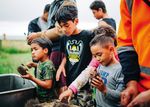 THE WHANAUNGATANGA REPORT - for Tāmaki Makaurau 2019 - Knowledge Auckland
