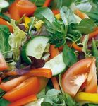 CATERING+EVENTS 2020-2021 - CATERING THORPE WAY