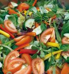 CATERING+EVENTS 2020-2021 - CATERING THORPE WAY