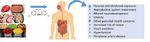 Bisphenol A and metabolites in meat and meat products: Occurrence, toxicity, and recent development in analytical methods - Preprints.org