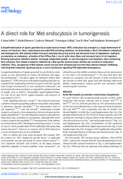 A direct role for Met endocytosis in tumorigenesis