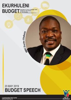 EKURHULENI BUDGET - BUDGET SPEECH 23 MAY 2019