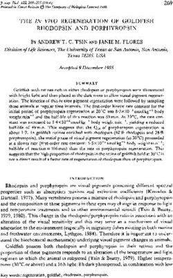 RHODOPSIN AND PORPHYROPSIN - THE IN VIVO REGENERATION OF GOLDFISH
