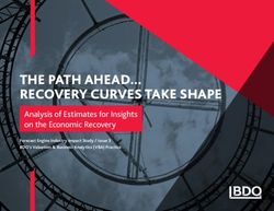 THE PATH AHEAD... RECOVERY CURVES TAKE SHAPE - Analysis of Estimates for Insights on the Economic Recovery