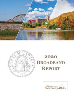 2020 BROADBAND REPORT - Georgia Broadband Deployment ...