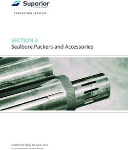 Sealbore Packers and Accessories - COMPLETION SERVICES - Superior Energy ...