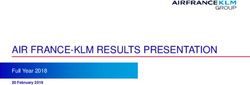 AIR FRANCE-KLM RESULTS PRESENTATION - Full Year 2018 - Air ...
