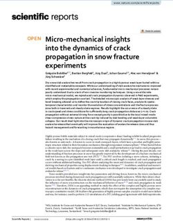 Micro mechanical insights into the dynamics of crack propagation in snow fracture experiments
