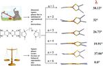 Supramolecular inorganic chemistry leading to functional materials