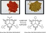 Supramolecular inorganic chemistry leading to functional materials